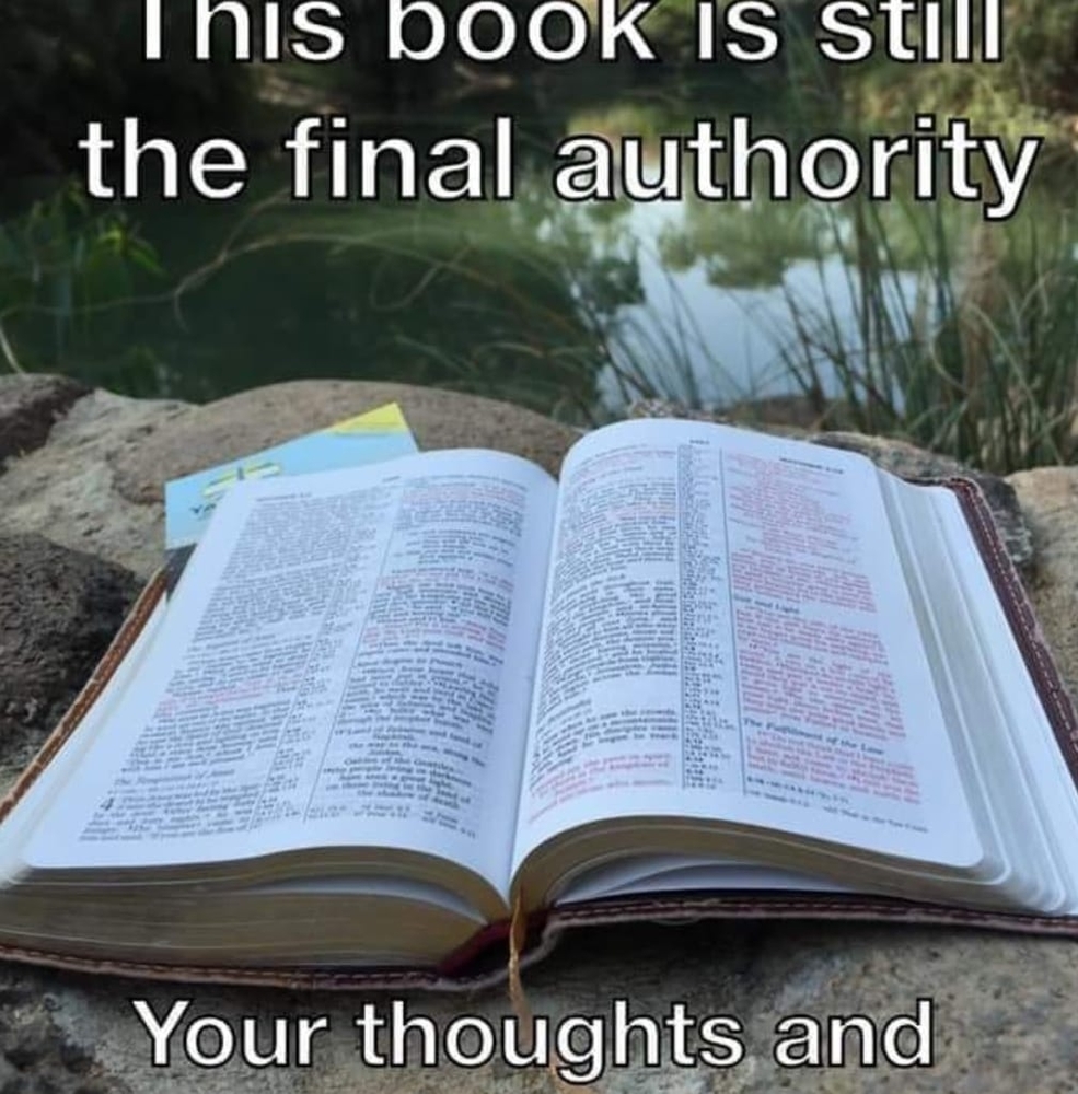 Meet your Posher, Sheila